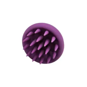 Oli G Scalp Brush Purple